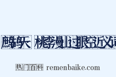 鹧鸪天·桃李漫山过眼空近义词是什么意思的图片
